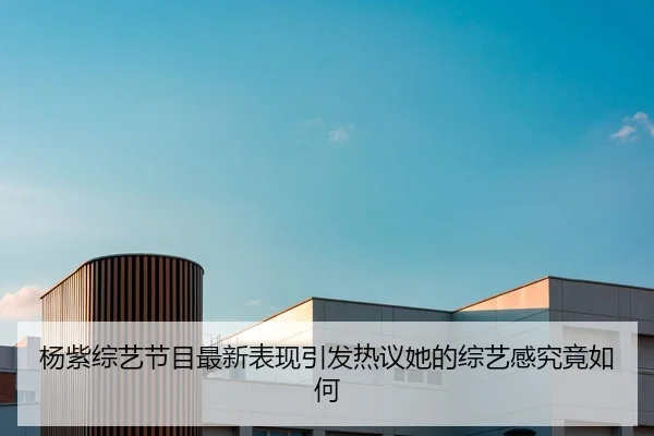 杨紫综艺节目最新表现引发热议她的综艺感究竟如何
